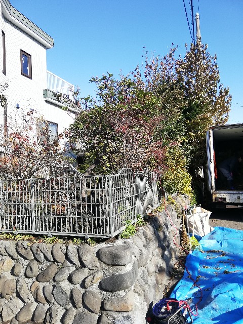 f:id:leleko:20191122191809j:image f:id:leleko:20191122191809j:image