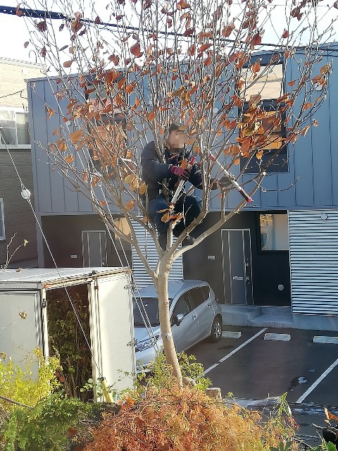 f:id:leleko:20191122192748j:image f:id:leleko:20191122192748j:image