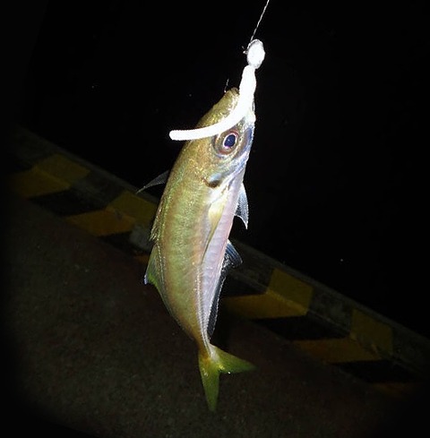 f:id:lemon-star:20161217142343j:plain