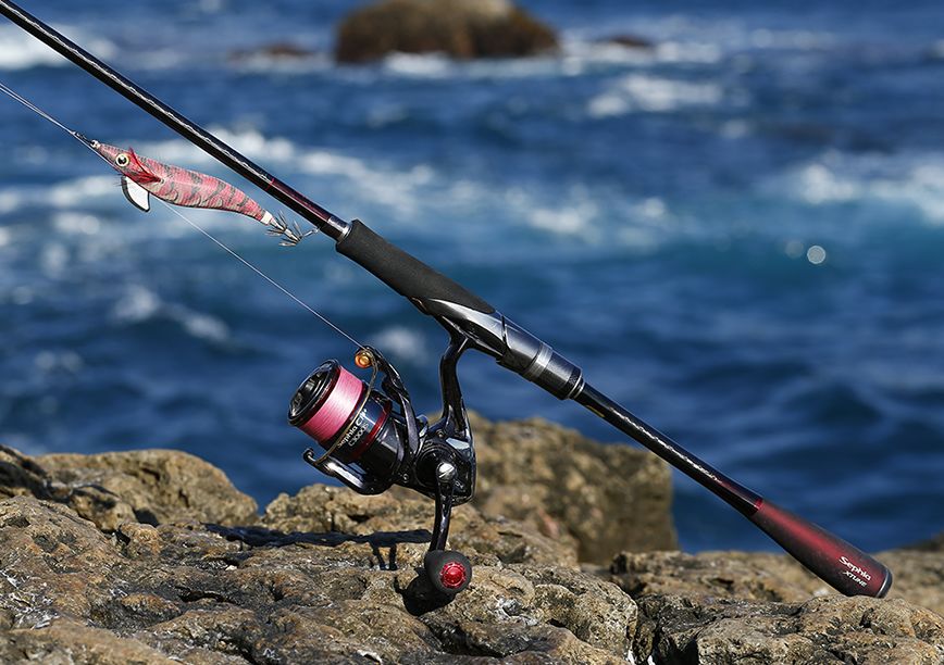 f:id:lemon-star:20180509202743j:plain