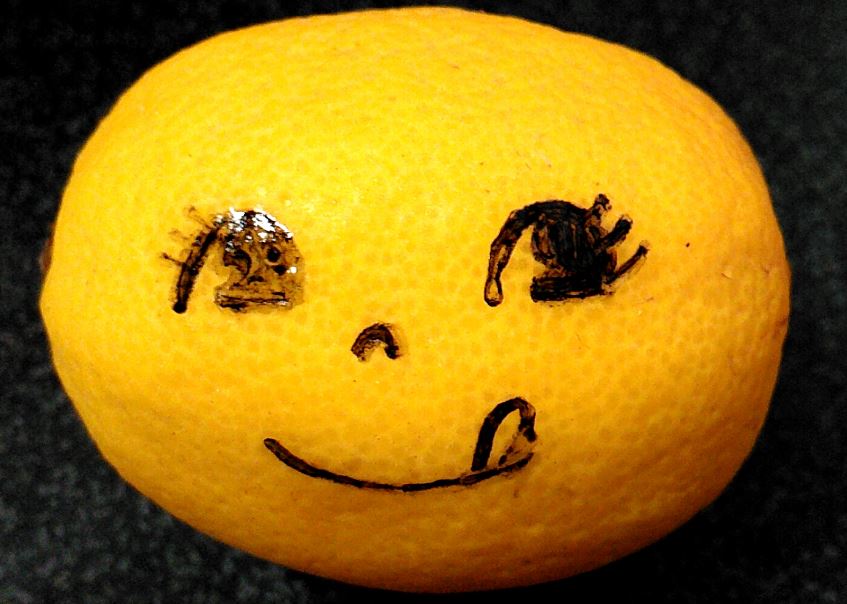 f:id:lemon2018c:20180613130453j:plain