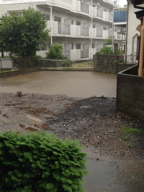 f:id:lemon99:20160822131624j:plain