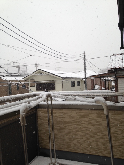 f:id:lemon99:20161124085328j:plain