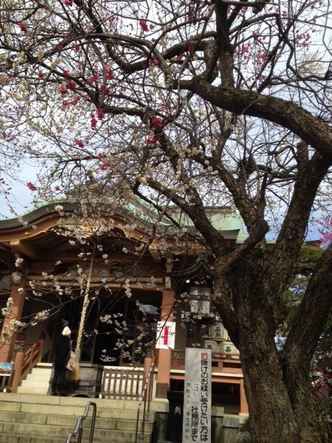 f:id:lemon99:20170304102357j:plain