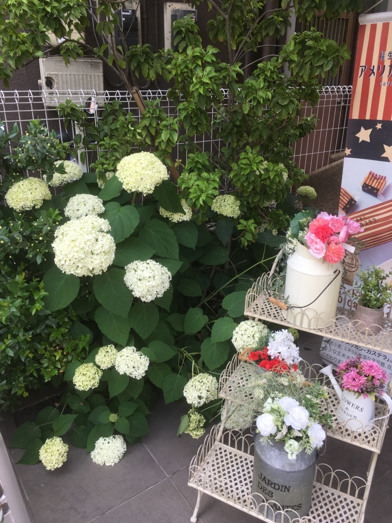 f:id:lemon99:20170606132601j:plain