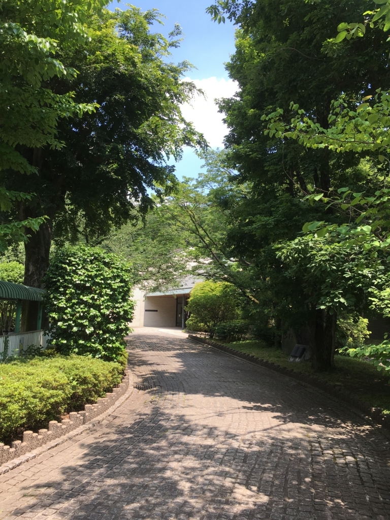 f:id:lemon99:20170615125647j:plain