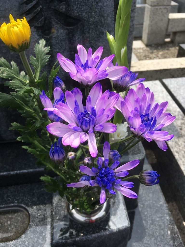 f:id:lemon99:20170629131227j:plain f:id:lemon99:20170629131227j:plain