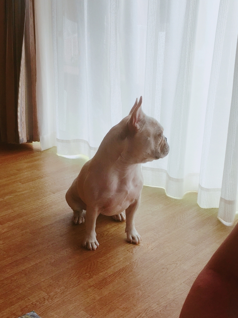 f:id:lemon99:20170925145606j:plain