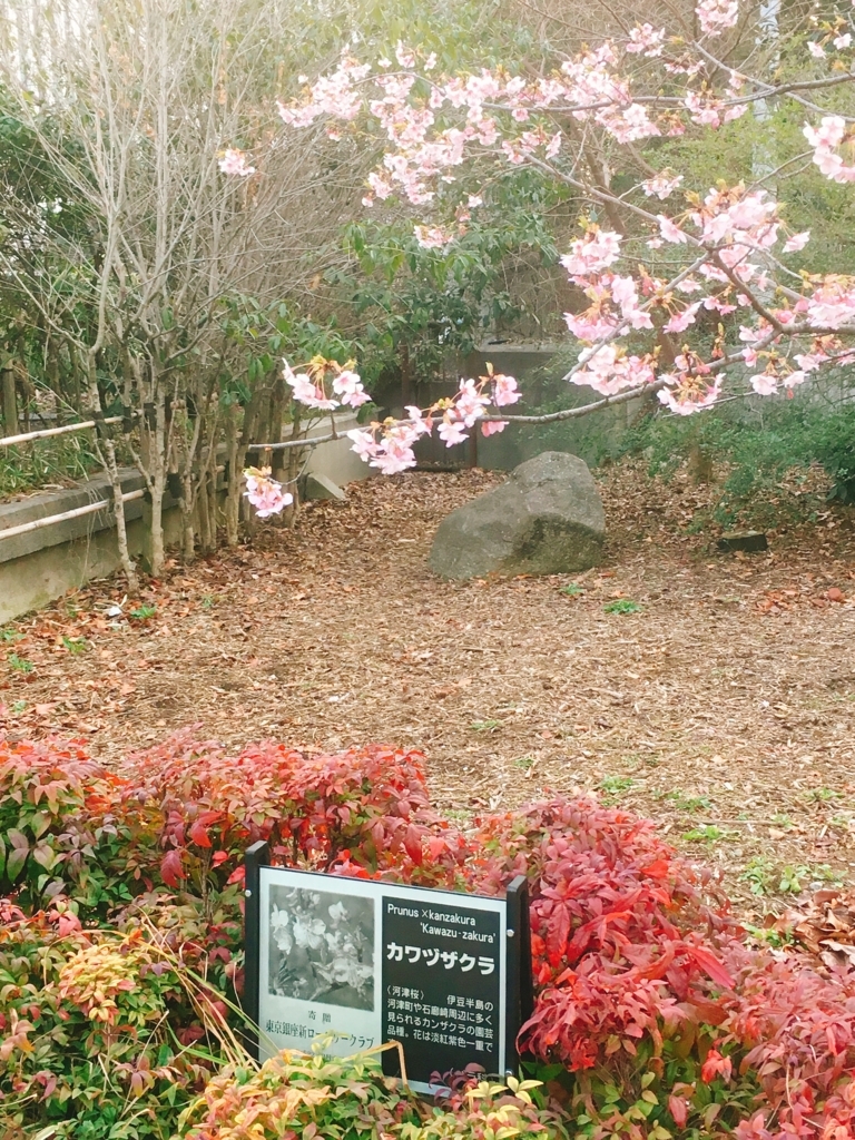 f:id:lemon99:20180224223434j:plain