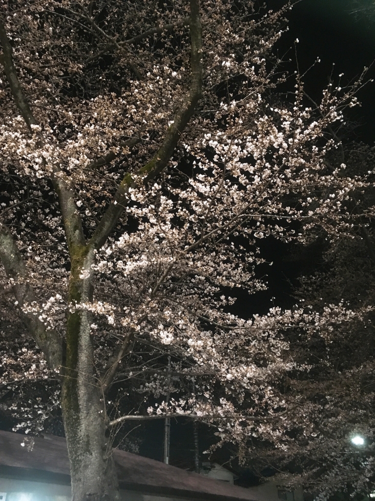 f:id:lemon99:20180325222149j:plain