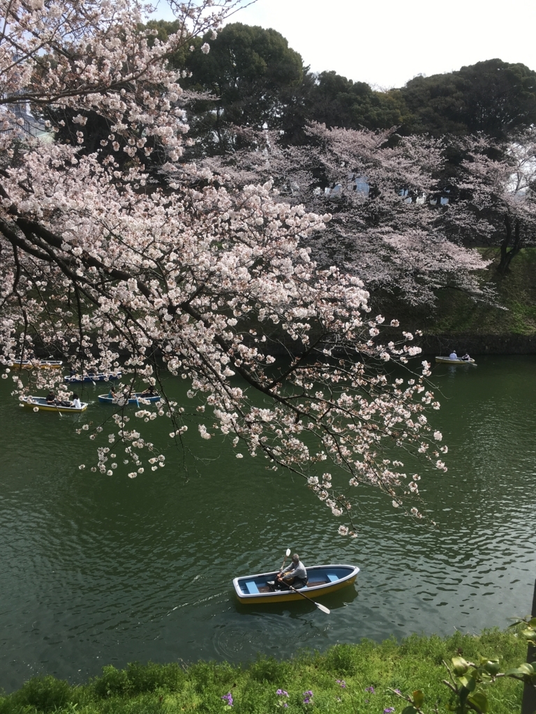 f:id:lemon99:20180326103430j:plain f:id:lemon99:20180326103430j:plain