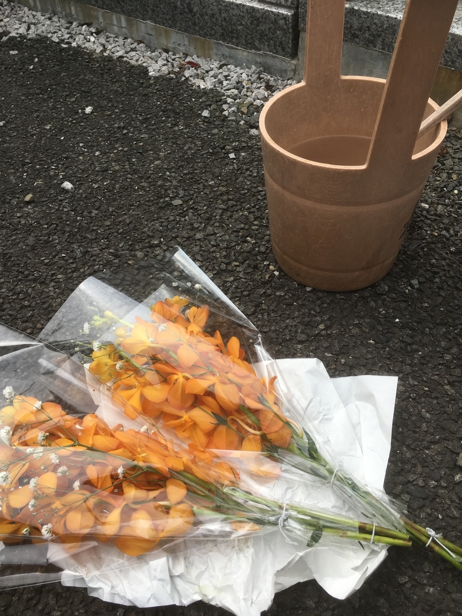 f:id:lemon99:20190329105410j:plain f:id:lemon99:20190329105410j:plain