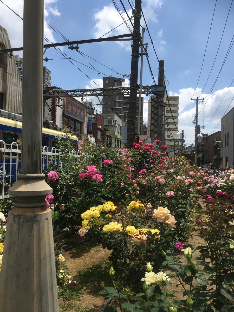 f:id:lemon99:20190517111855j:plain
