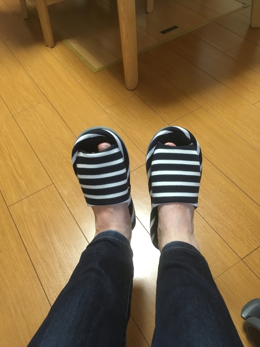 f:id:lemon99:20190527153407j:plain f:id:lemon99:20190527153407j:plain