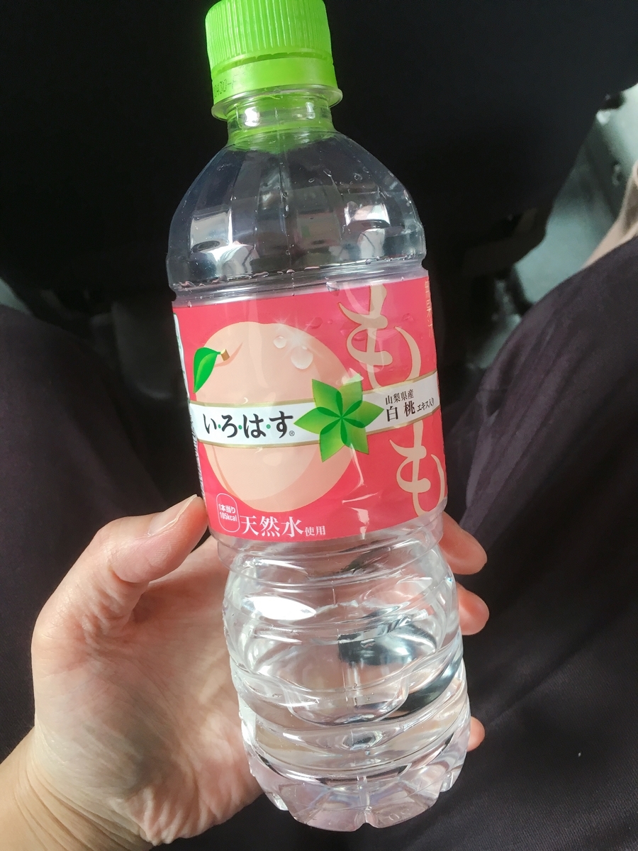 f:id:lemon99:20190718165619j:plain f:id:lemon99:20190718165619j:plain