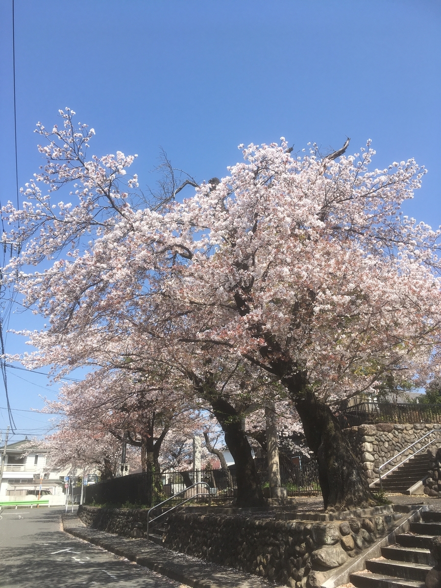 f:id:lemon99:20200404104054j:plain