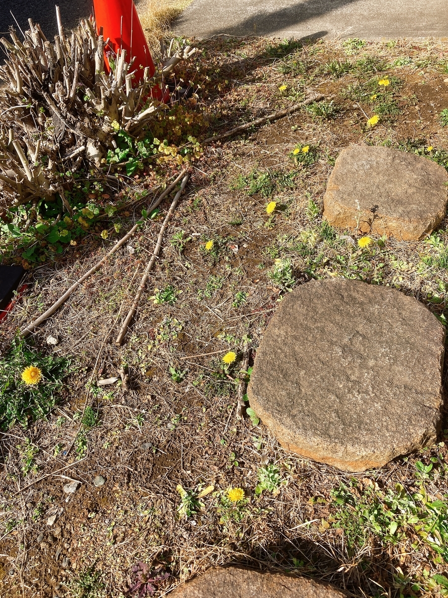 f:id:lemon99:20210318085906j:plain