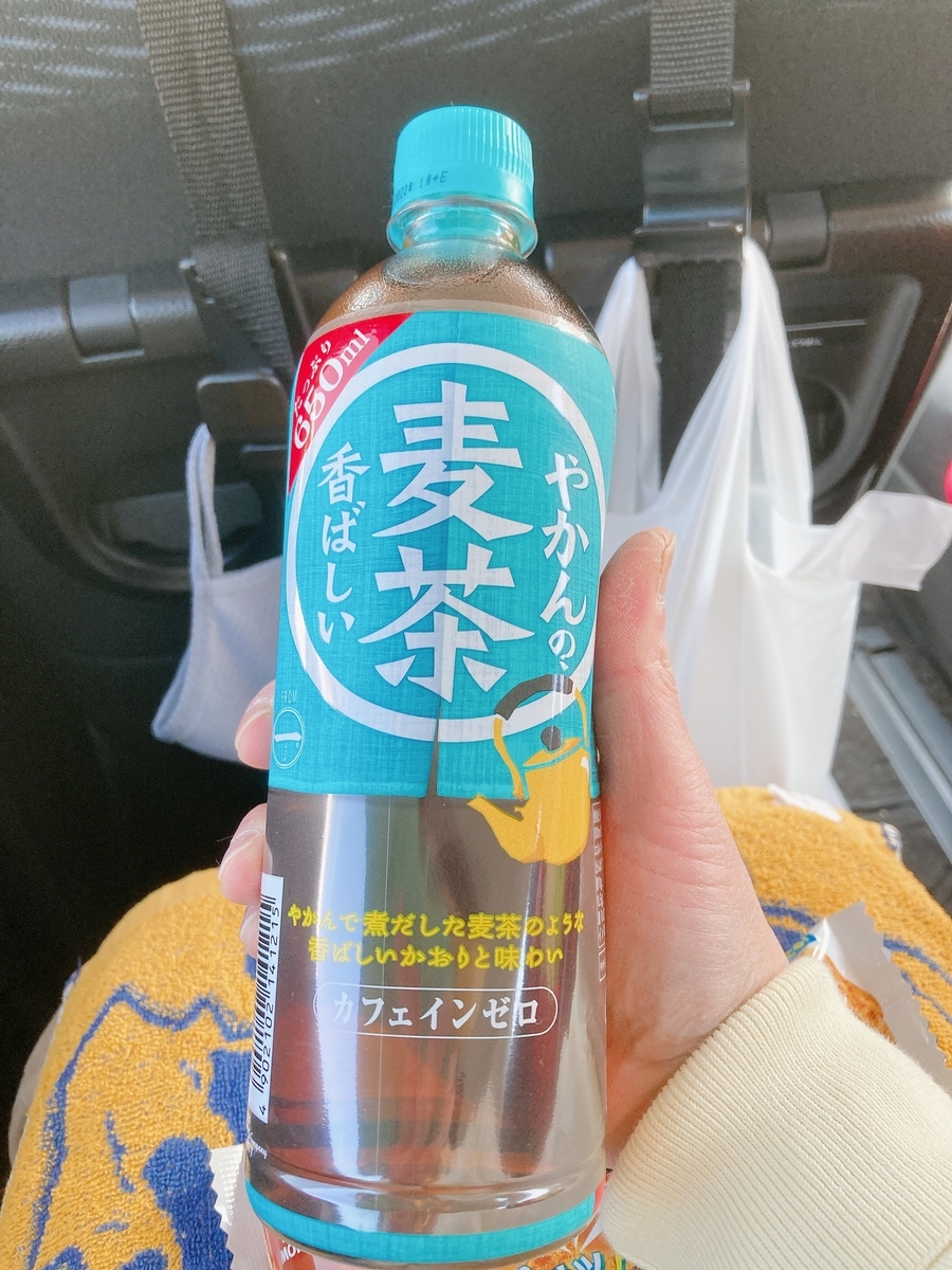 f:id:lemon99:20210427095013j:plain