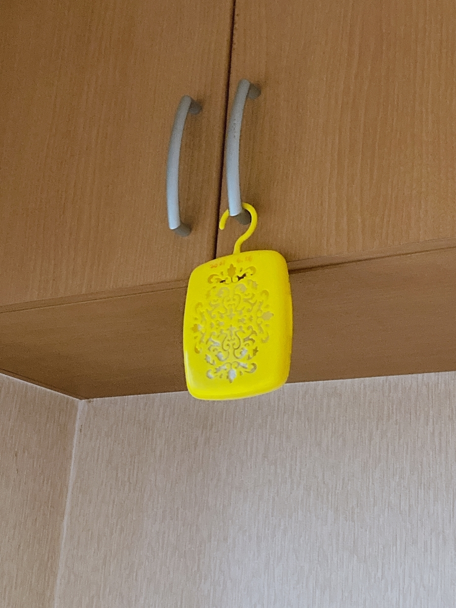 f:id:lemon99:20210616161228j:plain