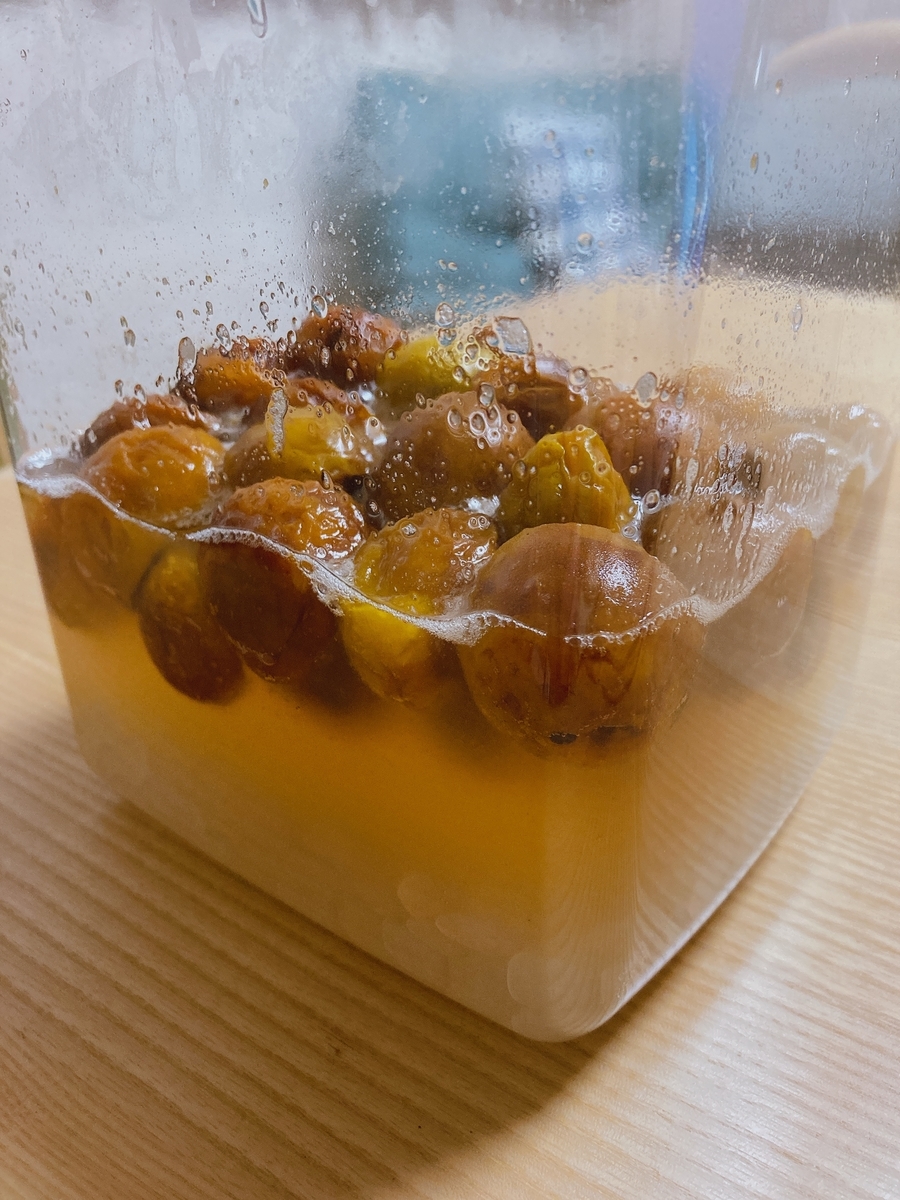 f:id:lemon99:20210629082729j:plain