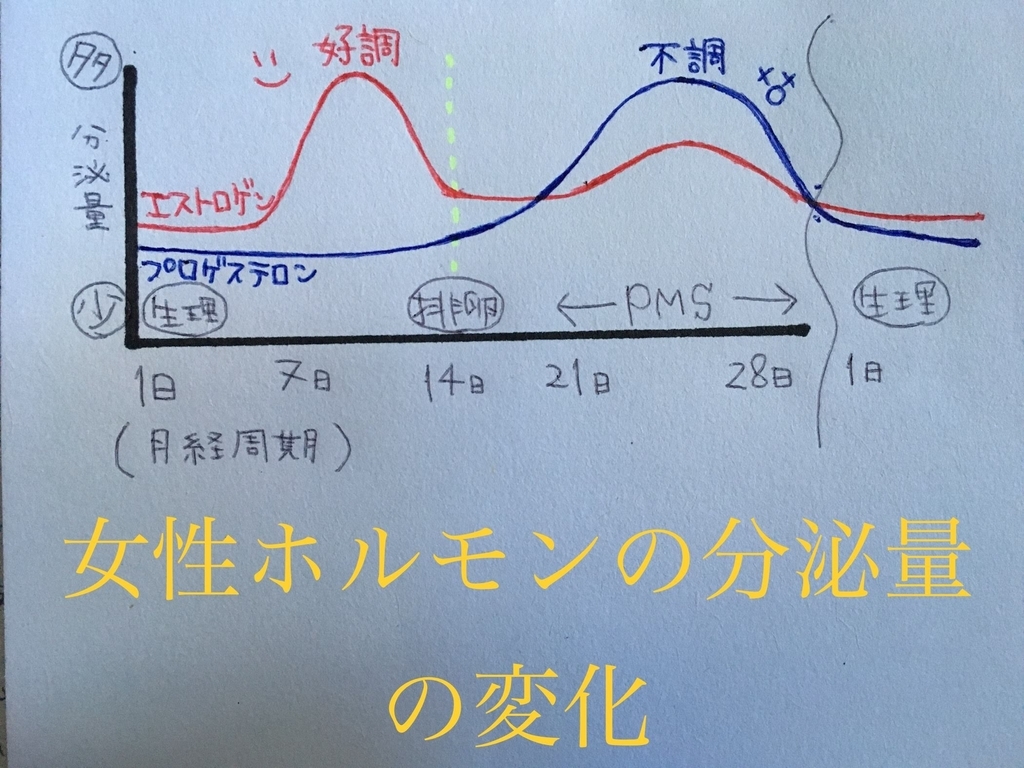 f:id:lemon_migraine:20181215122159j:plain f:id:lemon_migraine:20181215122159j:plain
