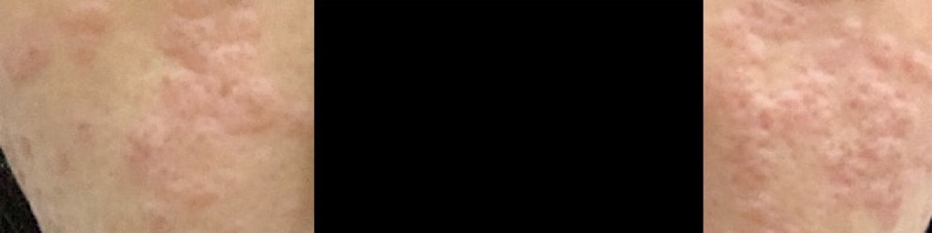 f:id:lemonaroma:20200218235019j:image