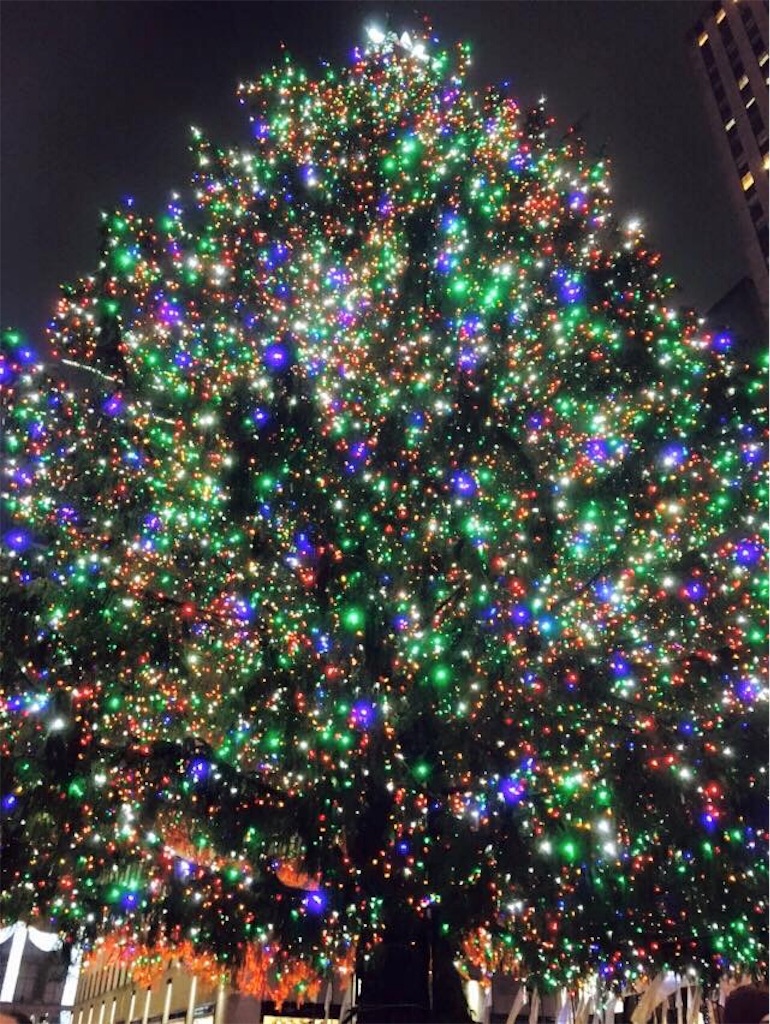 f:id:lemonpanic:20181218151238j:image