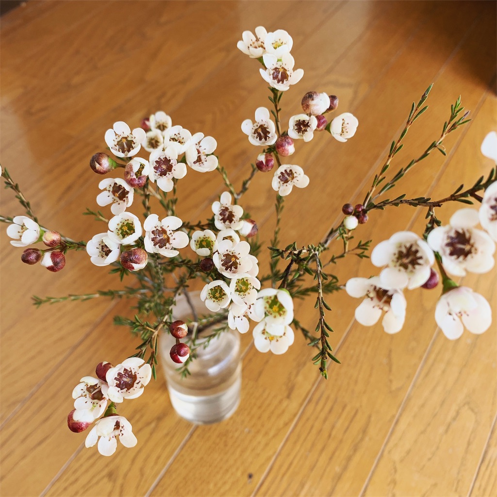 f:id:lemouton:20191003190557j:image