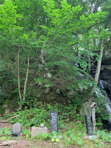 f:id:lemouton:20240716221454j:image