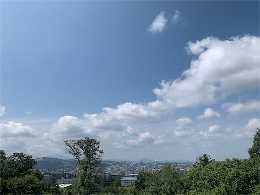 f:id:lemouton:20240716223134j:image