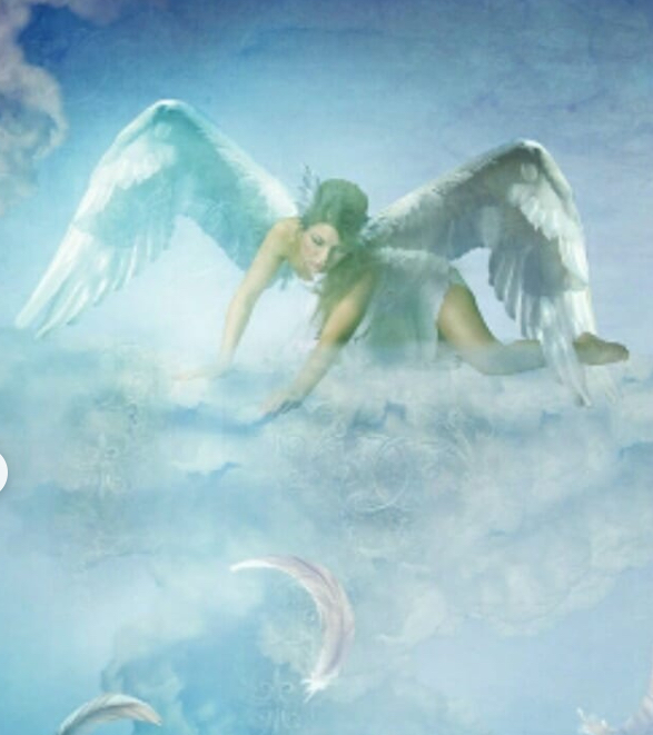 f:id:lemurian-crystal-NINA:20201015104335j:plain f:id:lemurian-crystal-NINA:20201015104335j:plain
