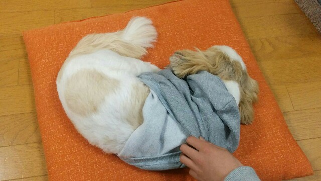 f:id:leo-roy:20160323012527j:plain
