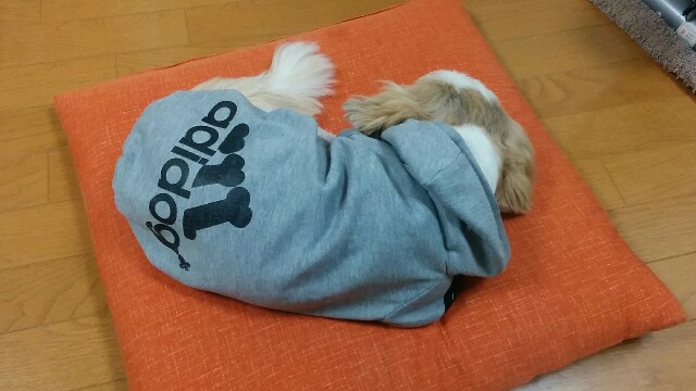 f:id:leo-roy:20160323012734j:plain