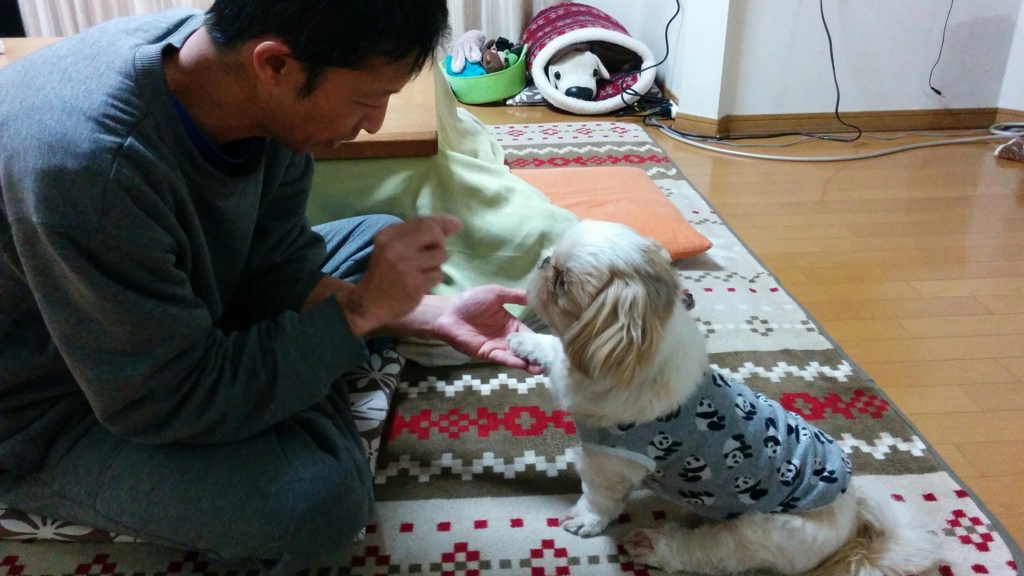 f:id:leo-roy:20160401171112j:plain