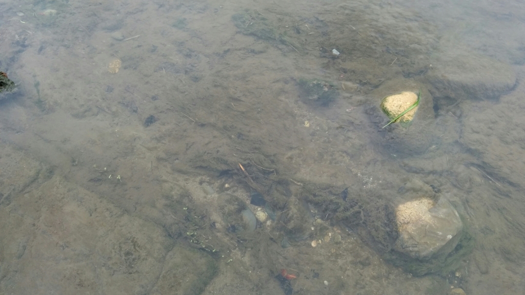 f:id:leo-roy:20160404172934j:plain