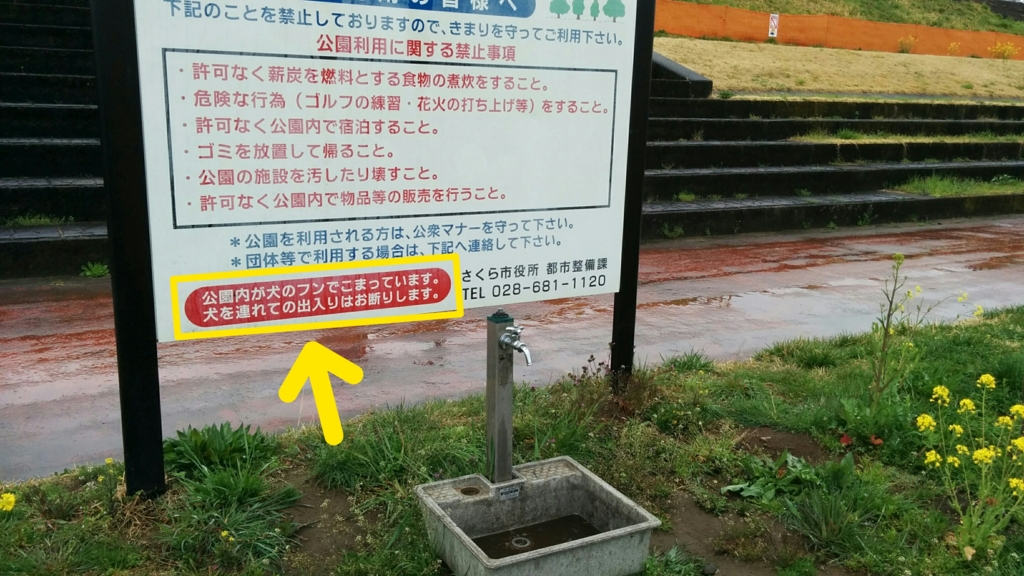 f:id:leo-roy:20160404180223j:plain