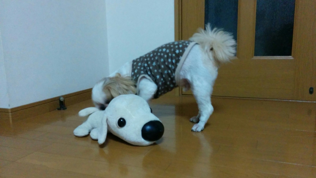 f:id:leo-roy:20160405211132j:plain