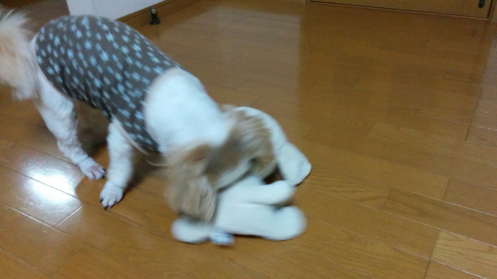 f:id:leo-roy:20160405211205j:plain