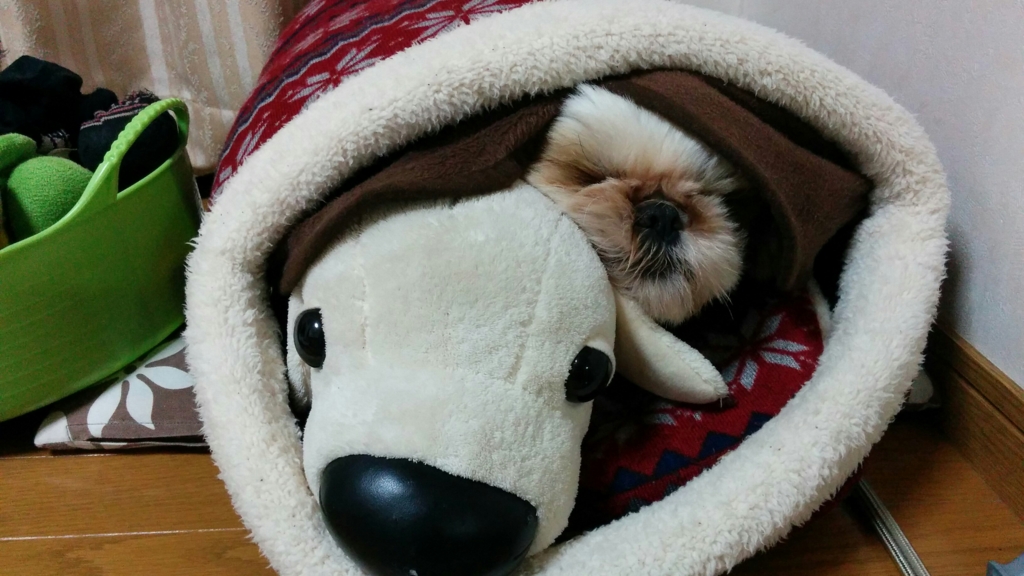f:id:leo-roy:20160405211300j:plain