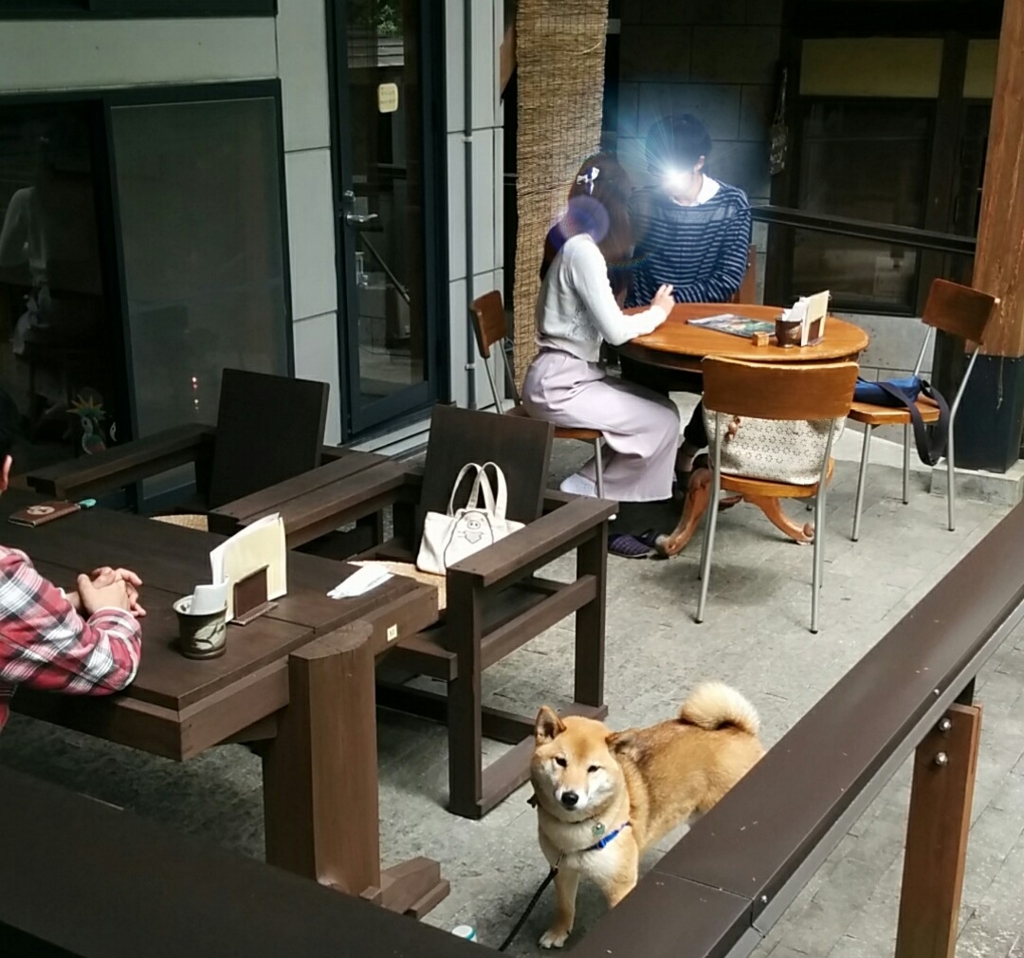 f:id:leo-roy:20160425110155j:plain