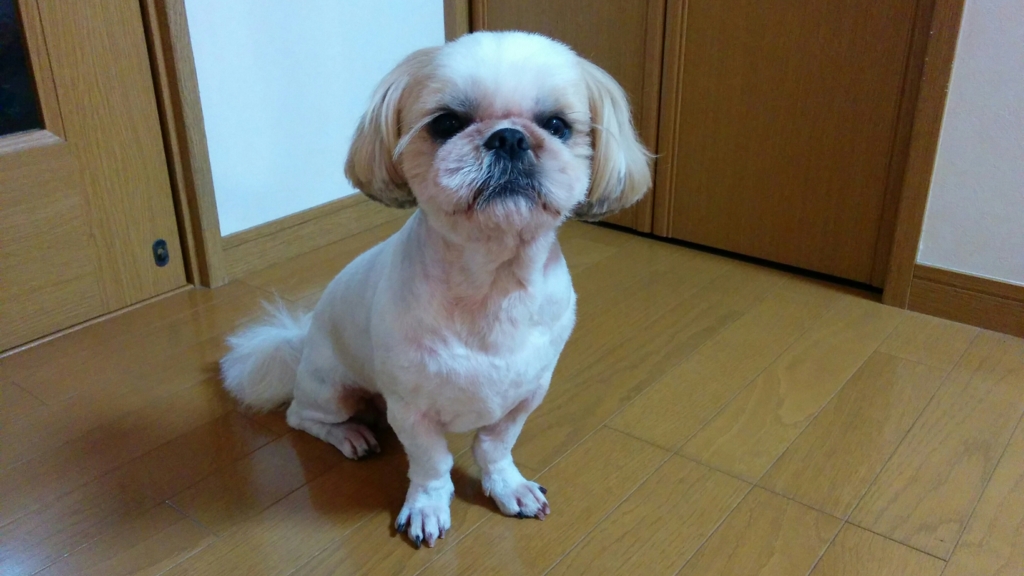 f:id:leo-roy:20160428224610j:plain