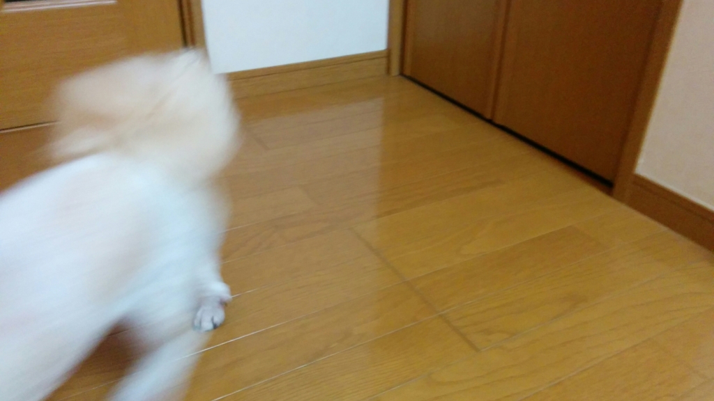 f:id:leo-roy:20160428225421j:plain