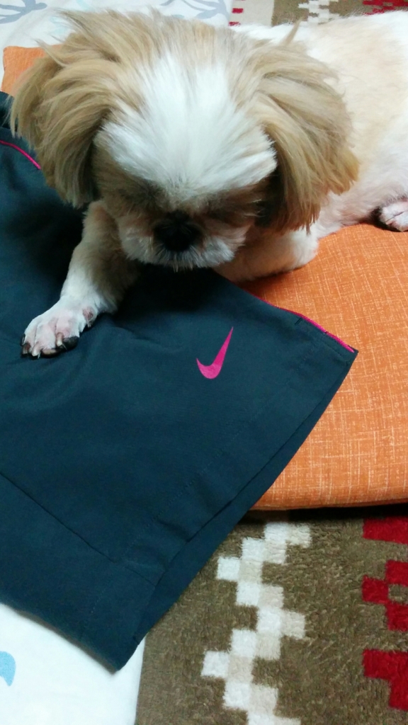 f:id:leo-roy:20160604004729j:plain f:id:leo-roy:20160604004729j:plain