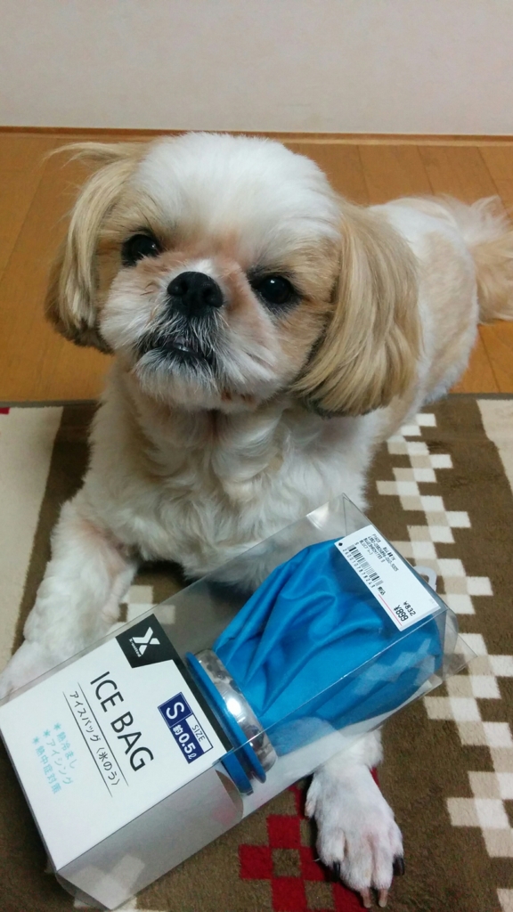 f:id:leo-roy:20160607175732j:plain