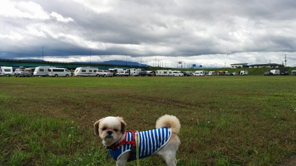 f:id:leo-roy:20160627211215j:plain