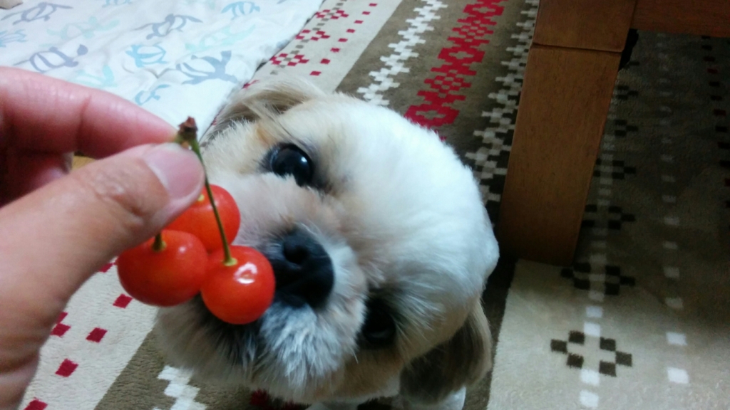 f:id:leo-roy:20160627211517j:plain