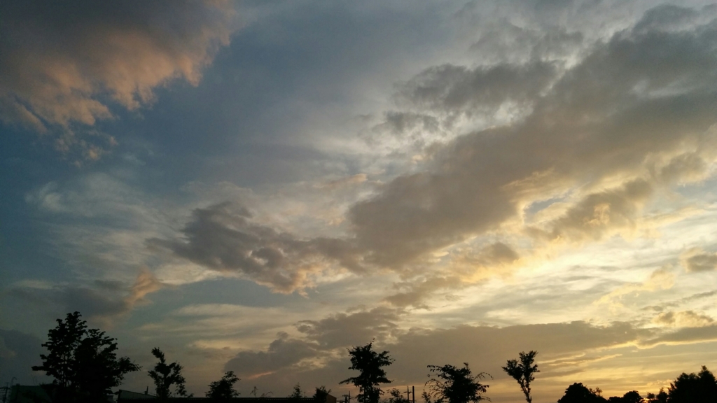 f:id:leo-roy:20160704004225j:plain