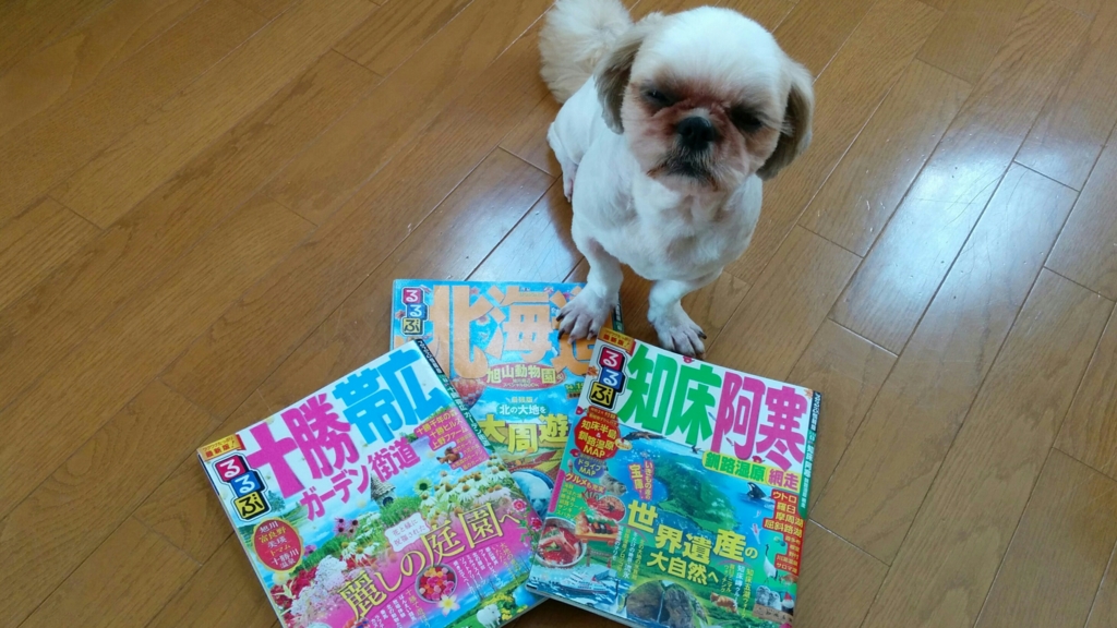 f:id:leo-roy:20160810003405j:plain