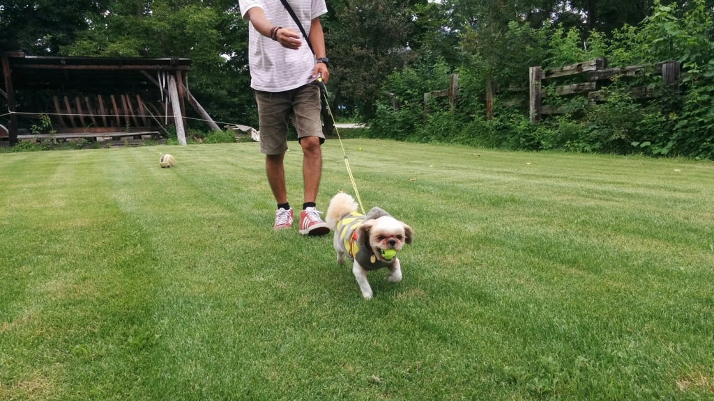f:id:leo-roy:20160821220037j:plain