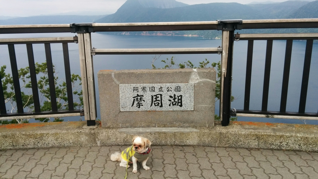 f:id:leo-roy:20160827111714j:plain